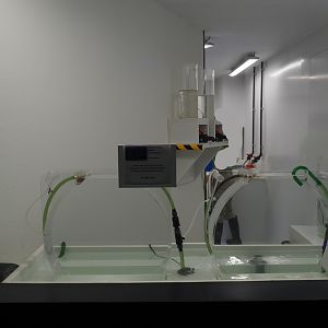 New marine nursery - Jellyfish raising tanks, 2020-09-03