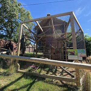 New(ish) red ruffed lemur enclosure
