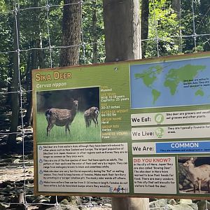 Correct deer signage