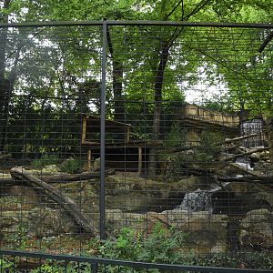 Jaguar enclosure
