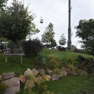 Bongo & Wattled Crane enclosure
