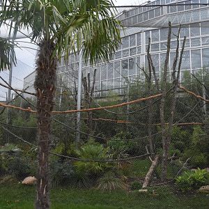 Squirrel Monkey aviary