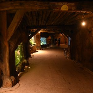 Tunnel into Equatorial Dome