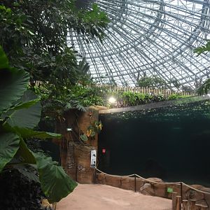 First view after entering dome