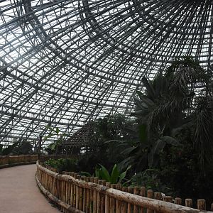 Upper path through dome
