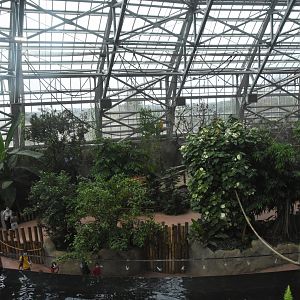 Cross-viewing in the dome