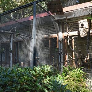 Tiny parrot aviaries