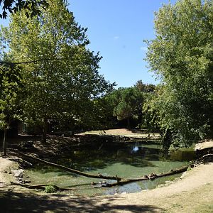 Lowland Tapir enclosure