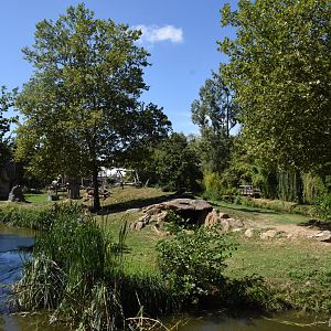 Gorilla bachelor island