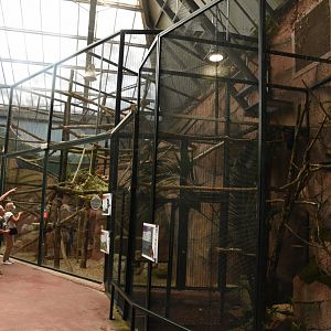 Tree Kangaroo enclosures