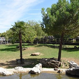 Malayan Tapir & Hog Deer enclosure