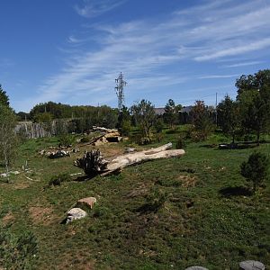 "Arctic" Wolf & Brown Bear enclosure
