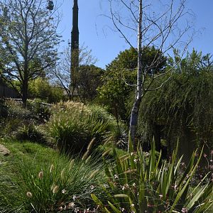 Tasmanian Devil enclosure (1/2)