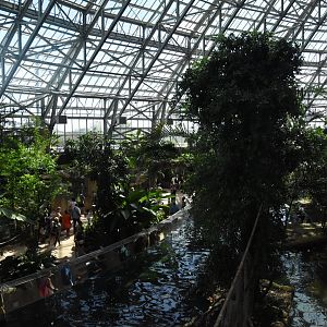 Giant Otter enclosure