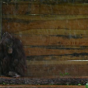 Autumn, September 2020