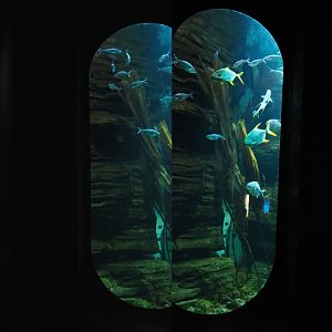 Jelp tank, 2020-09-03