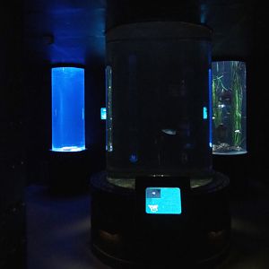 Room with cylinder tanks, 2020-09-03