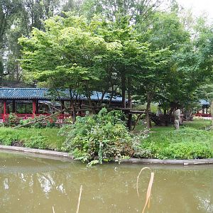 Nepalese Red panda exhibit, 2020-09-03