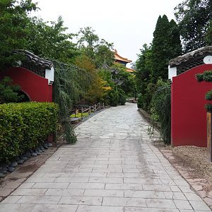 The Middle Kingdom - Part of the Chinese gardens, 2020-09-03