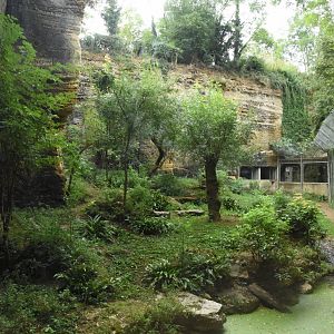 Javan Leopard enclosure