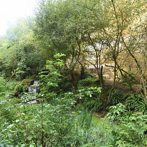 Sri Lankan Leopard enclosure