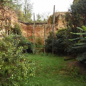 Southern Pudu enclosure