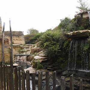 S-American aviary - Penguin enclosure