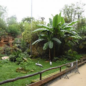 European aviary