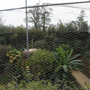 European aviary from above