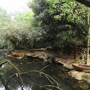 Giant Otter enclosure