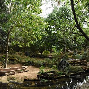 Giant Otter enclosure