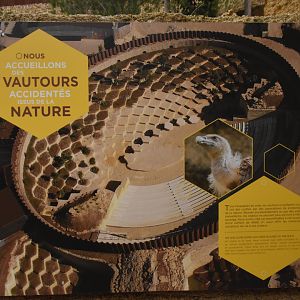 Sign on vulture origins