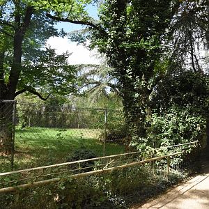 Maned Wolf enclosure