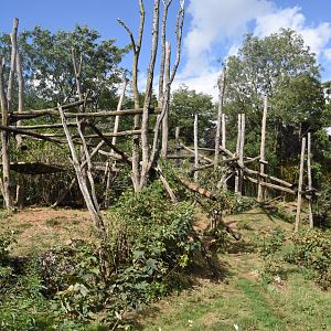 Spectacled Bear & Squirrel Monkey enclosure