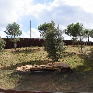 European Souslik enclosure