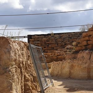 Future african aviary