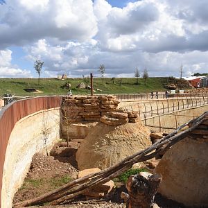 Slender-tailed Meerkat, Bat-eared Fox and Aardvark enclosure
