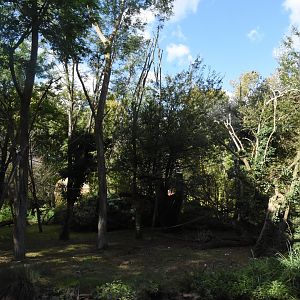 Spectacled Bear & Squirrel Monkey enclosure
