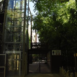 Entrance to Okapi aviary and elevator to upper level