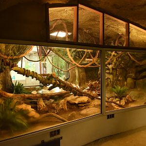 Vivarium - Royal Python terrarium