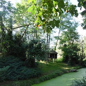 Red Ruffed Lemur island