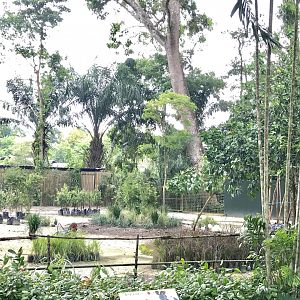 Upcoming Landscape for Grevy’s Zebra & Nyala Habitat