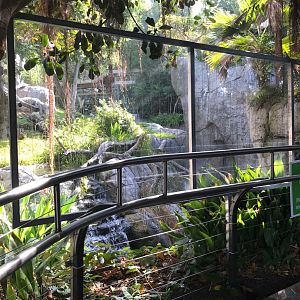 Plexiglass at the gorilla exhibit.