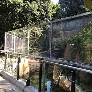 Plexiglass at the swamp monkey exhibit.