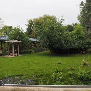 Indian hog deer, White-naped crane and Demoiselle crane exhibit, 2020-09-03