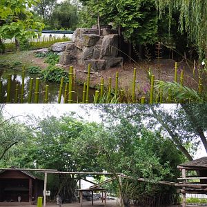 Bharal and Binturong exhibit, 2020-09-03