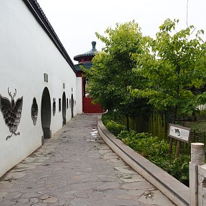 Bharal/Binturong viewing area and Access to snow leopard viewing pavilion, 2020-09-03