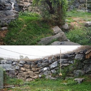 First snow leopard exhibit, 2020-09-03