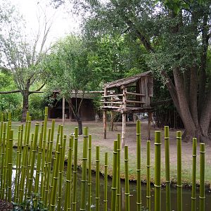 Bharal and binturong exhibit, 2020-09-03