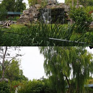 Japanese macaque exhibit, 2020-09-03